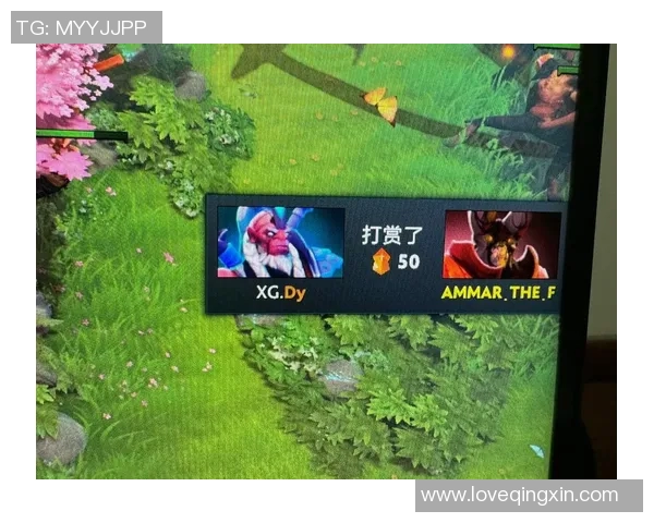 dota2删除比赛记录-关于DOTA2删除比赛记录的探讨-dota2删除比赛记录